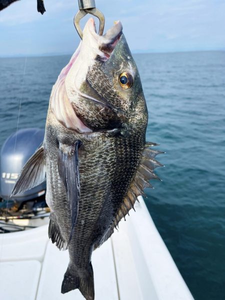 今日はタイラバ釣り